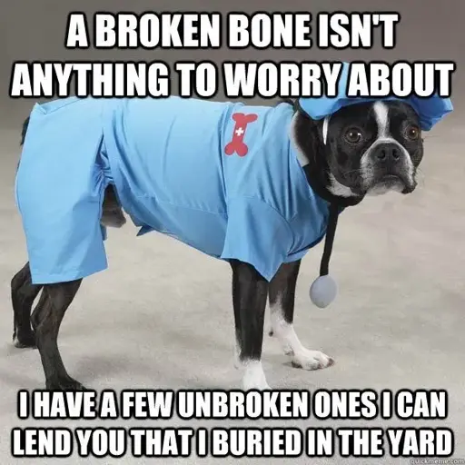 Picture of a dog in a doctor outfit captioned: "A broken bone isn't anything to worry about. I have a few unbroken ones I can lend you that I buried in the yard"