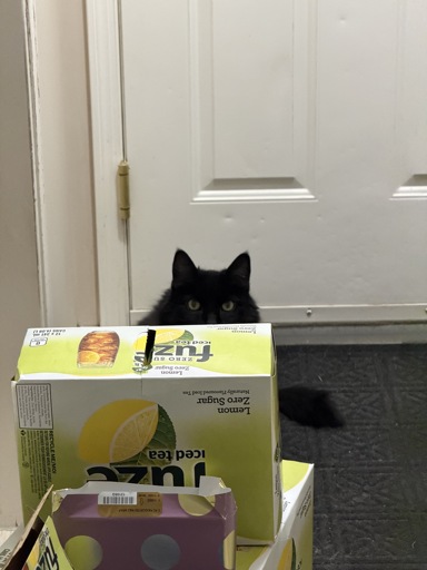 In a bright hallway, a black cat’s eyes and ears poke up above a case of pop, and is staring at the camera.