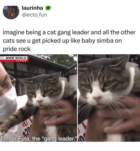 The indignity