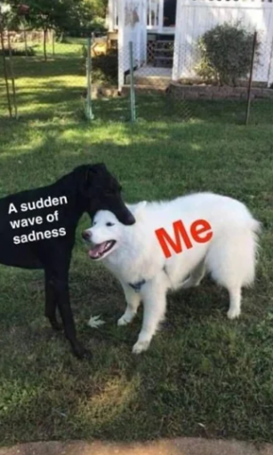 a puppy noms another playfully on the head. the nomed puppy is labeled Me. the nommer puppy is labeled A sudden wave of sadness
