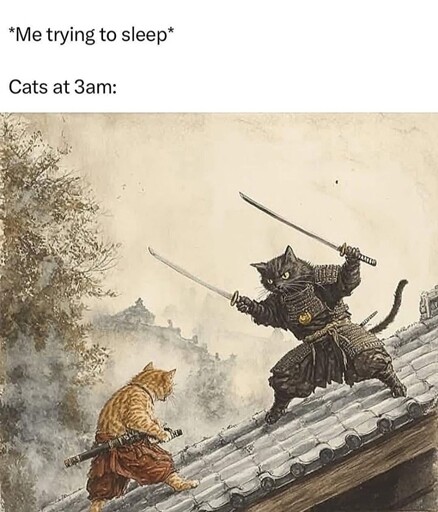 Every night...