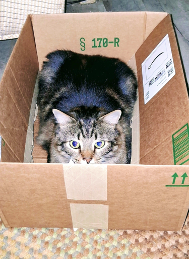  loaf in--a-box