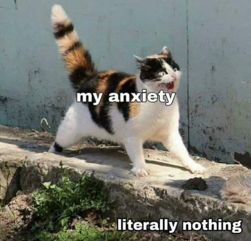 a kitty is super spicy and is angy. kitty labeled my  anxiety.  background label Nothing