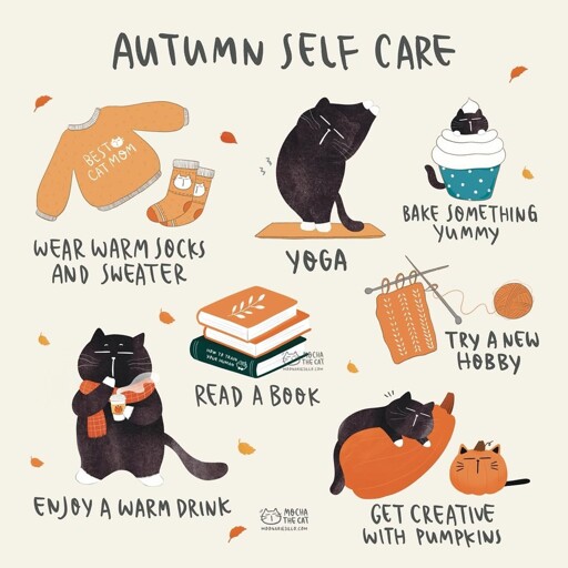 Which would you pick?