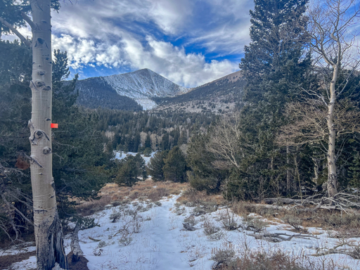 Descending back into the forest, with a view towards Pyramid Peak. I believe the smaller pines seen near the center are bristlecones; this species is the oldest known living organism on Earth, reaching 5,000 years old.