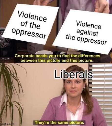 A meme in the format of "They're the same picture," labled with "liberals" on the bottom as the speaker, with the two pictures being violence of the oppressor and violence against the oppressor