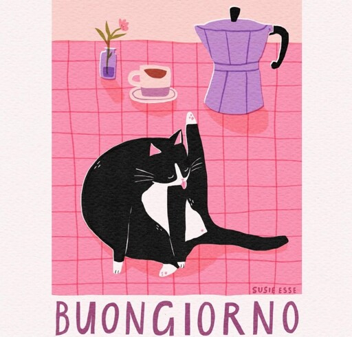 Morning