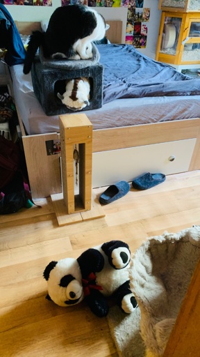 A cozy bedroom scene featuring a cat perched on a felt cube with a plush animal inside. In the foreground, a stuffed panda lies on the wooden floor near a cat bed. A wooden scratching post stands nearby, and a pair of gray slippers are visible